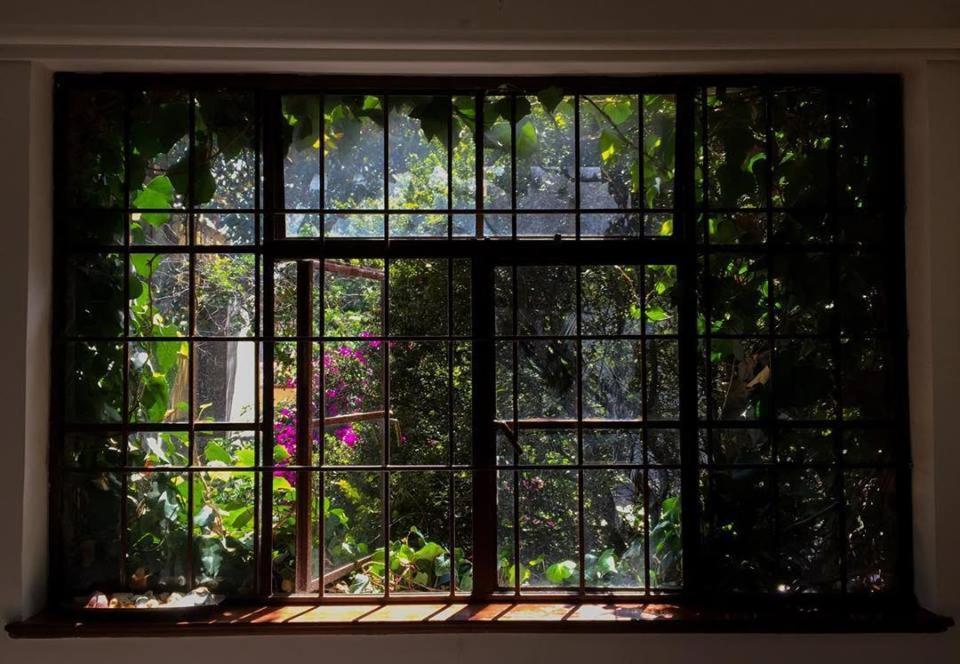 Magdalena Guest House Μπογκοτά Εξωτερικό φωτογραφία